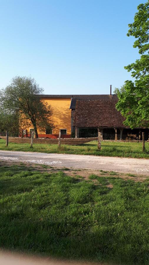 La Maison Du Potier Proche De Guedelon Saint-Amand-en-Puisaye Buitenkant foto